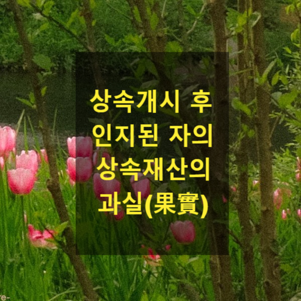  상속개시 후 인지된 자의 상속재산의 과실(果實)