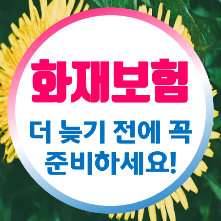  거주자를 위한 안전 가이드: 월세 화재보험 가입 및 원룸화재보험