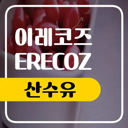  산수유 효능 부작용과 복용 방법까지