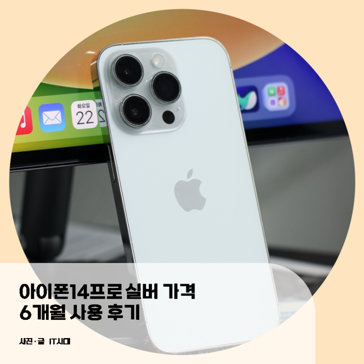  아이폰14프로 실버 가격 6개월 사용 후기