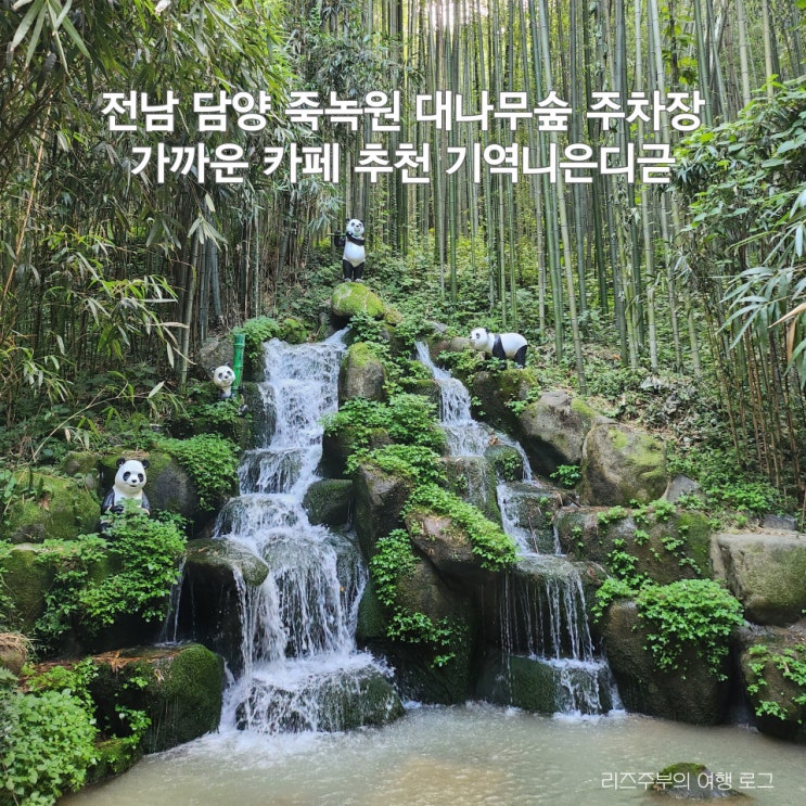  담양 죽녹원 대나무숲 주차장 : 가까운 애견동반 한옥 카페 추천 기역니은디귿