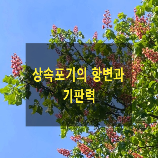  상속포기 후 제기된 소송에서 상속포기의 항변을 하지않아 패소한 경우 강제집행을 막을 수 있는지(기판력)