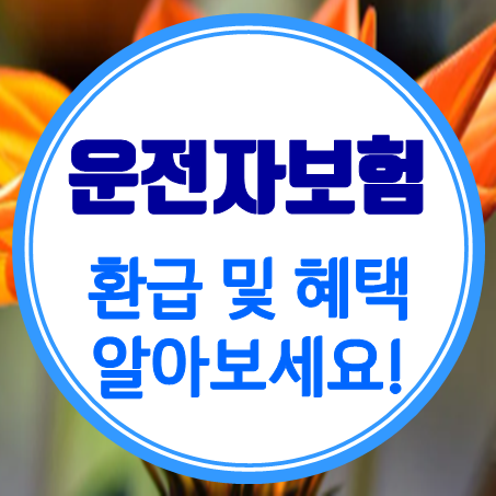  운전자보험 환급과 운전자보험 혜택에 관한 지나칠 수 없는 정보