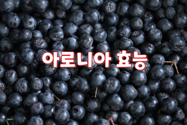  아로니아 효능 베리의 제왕 블루베리와 복분자 보다 영양소가 더 풍부하다고?!