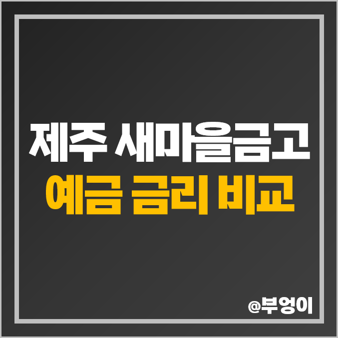 제주도 새마을금고 정기 예금 금리 비교 서귀포시 제주시 이자율 높은 특판 제주도 새마을금고 정기 예금 금리 비교 서귀포시 제주시 이자율 높은 특판