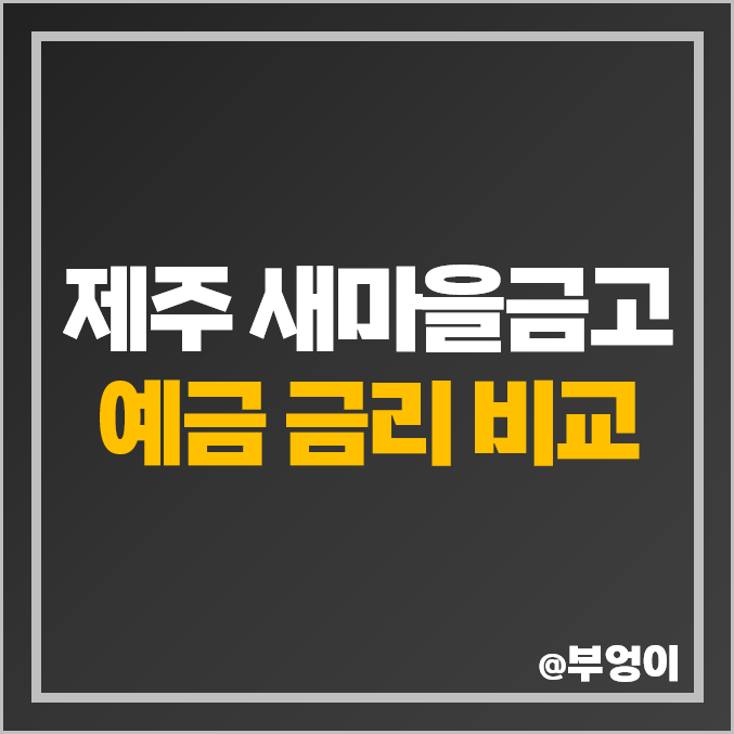 제주도 새마을금고 정기 예금 금리 비교 서귀포시 제주시 이자율 높은 특판