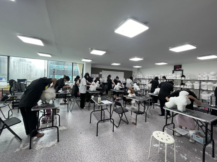  수원, 용인, 화성 애견미용학원에서 애견미용자격증 단기간 취득하기(장학반 가격, 혜택)