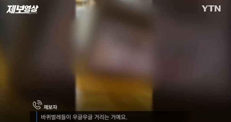  호프집 냅킨통에서 발견된 바퀴벌레, 반드시 방역을 해야합니다.
