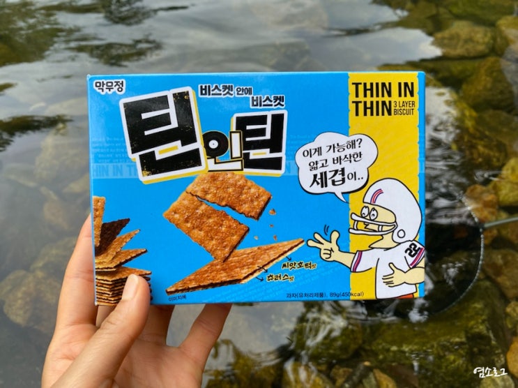  다이소 과자 틴인틴 씨앗호떡 츄러스맛 내돈내산 솔직후기