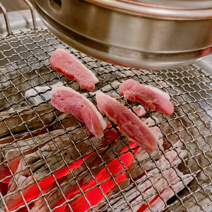[평창] 숯불에 구워먹는 생오리, 다키닥팜 재방문 후기