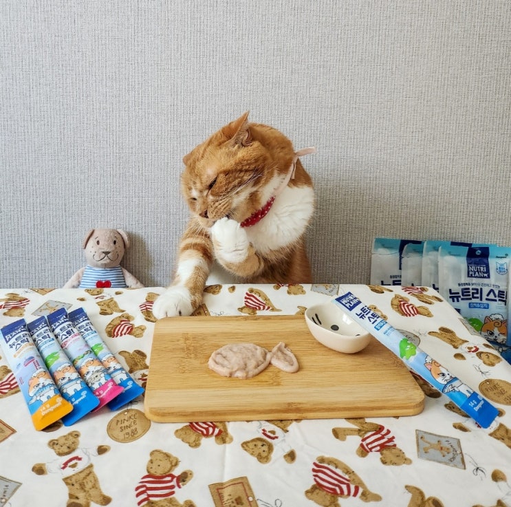  짜먹는 고양이간식 동원 뉴트리플랜으로 고양이 음수량 늘려주기