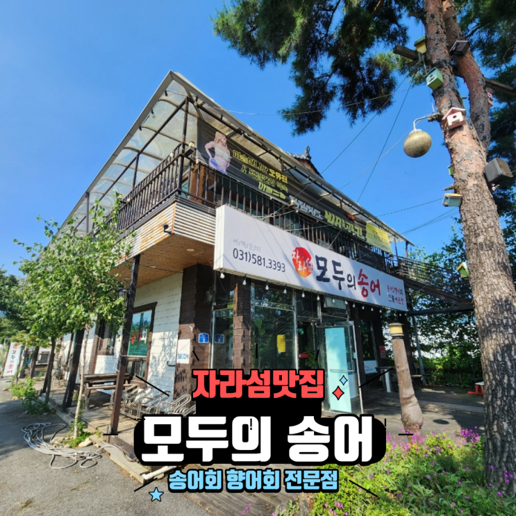  가평 자라섬맛집 송어회 향어회 전문 횟집 모두의 송어