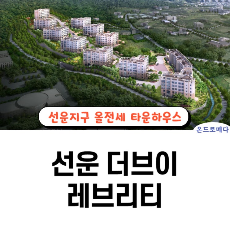  선운 더브이 레브리티 올전세 정보