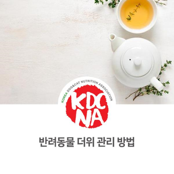  NO.1096 강아지 더위 관리 식재료