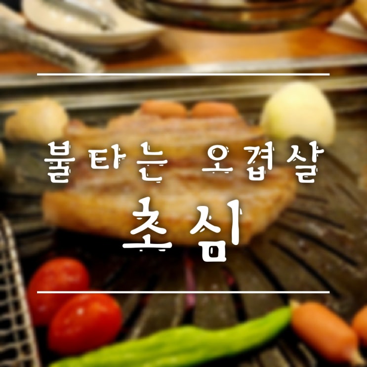  [춘천/거두리] 숙성 돼지고기로 육즙 터지는 불타는 초심