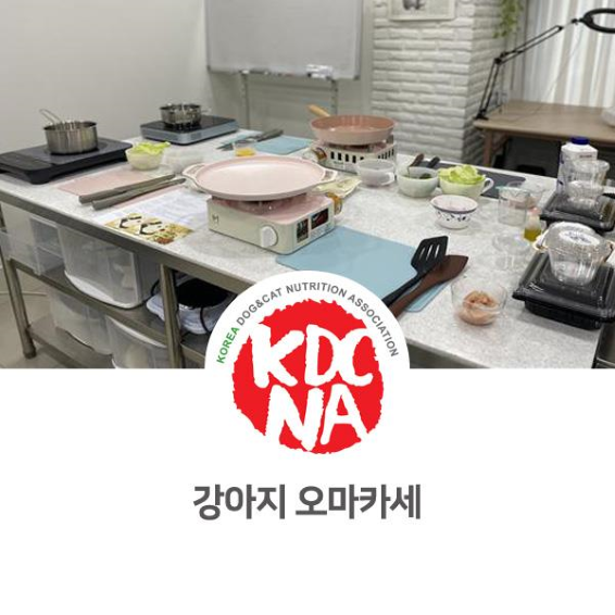  NO.1095 요즘 유행하는 강아지 오마카세