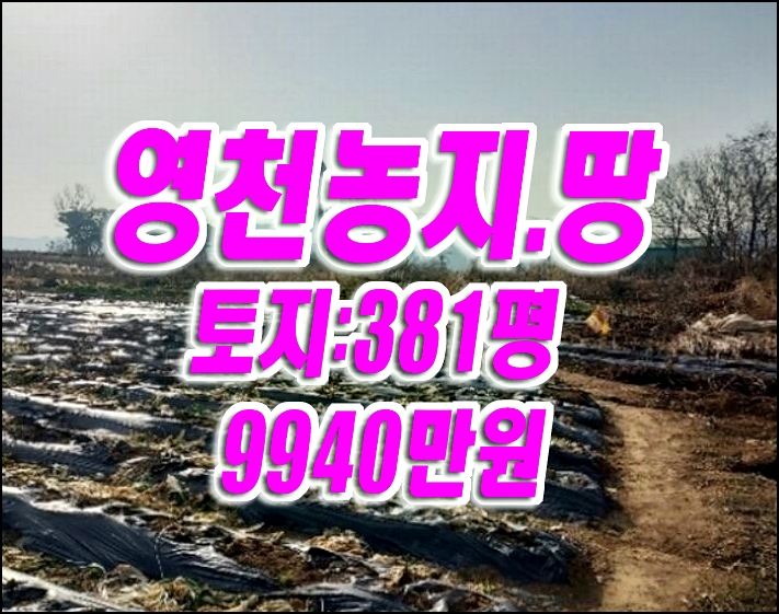 영천농지경매 영천부동산 땅 경매 매매 제2종일반주거지역 영천농지경매 영천부동산 땅 경매 매매 제2종일반주거지역