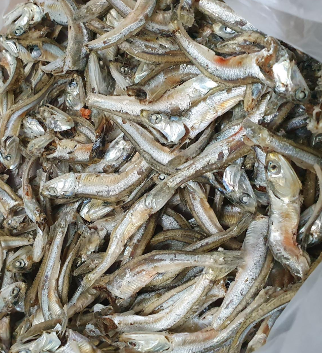  중멸치로 입맛 돋는 매콤한 중멸치 고추장 볶음 반찬만들기
