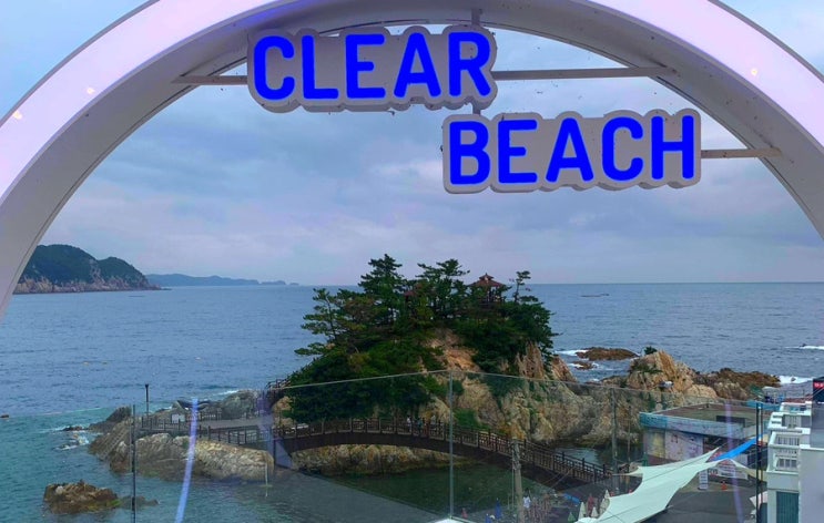  삼척 장호항 스노쿨링 후기 및 대여가격
