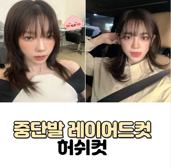 중단발 레이어드컷 , 허쉬컷 연예인사진 분석(김세정,아이유,한소희,웬디, 카리나, 태연)