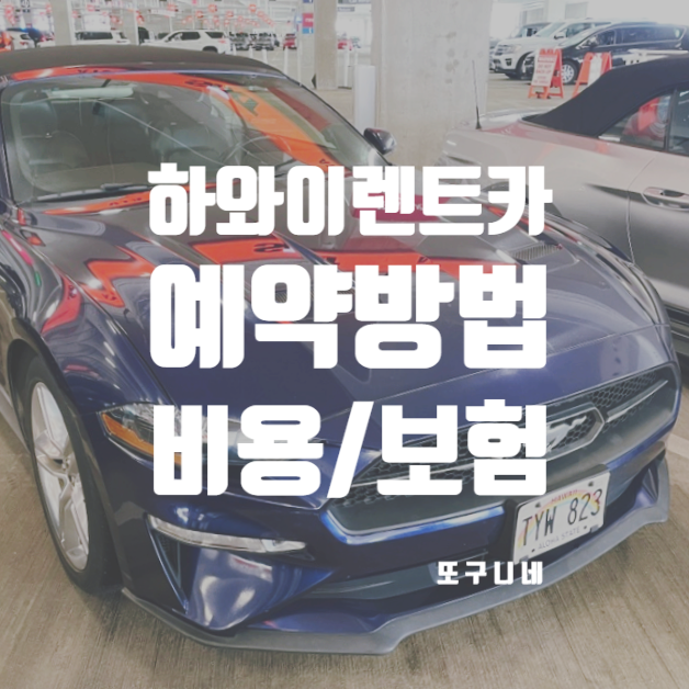  하와이 렌트카 예약 방법 비용 보험 정리 (하와이오하우렌트카, 식스트)