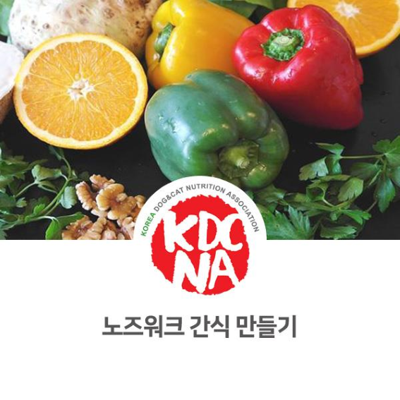  NO.1093 강아지 노즈워크 간식 만들기