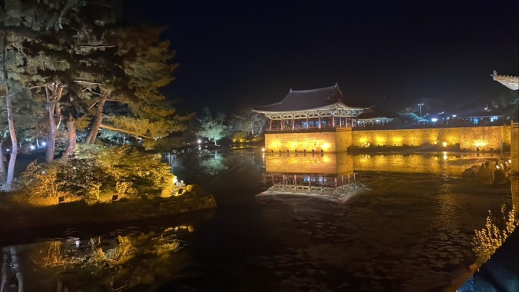  [경주]동궁과월지 :: 경주야경명소