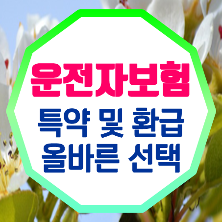  운전 중의 나를 위한 선택, '운전자보험 특약'과 '운전자보험 환급형'의 심층 탐구!