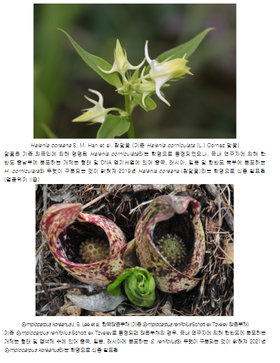 국내 학자가 지은 자생생물 학명, 2000년 대비 4배 이상 증가 국내 학자가 지은 자생생물 학명, 2000년 대비 4배 이상 증가