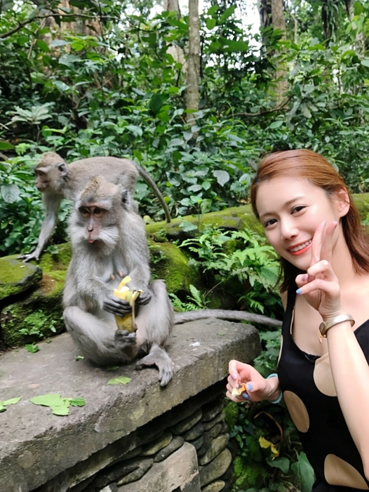  17_인도네시아여행] 발리 원숭이 셀카 가능한 우붓 몽키포레스트+입장료