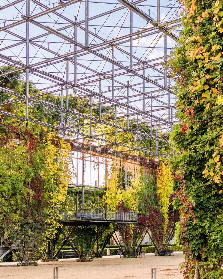  스위스의 덩굴 식물 정원, MFO Park