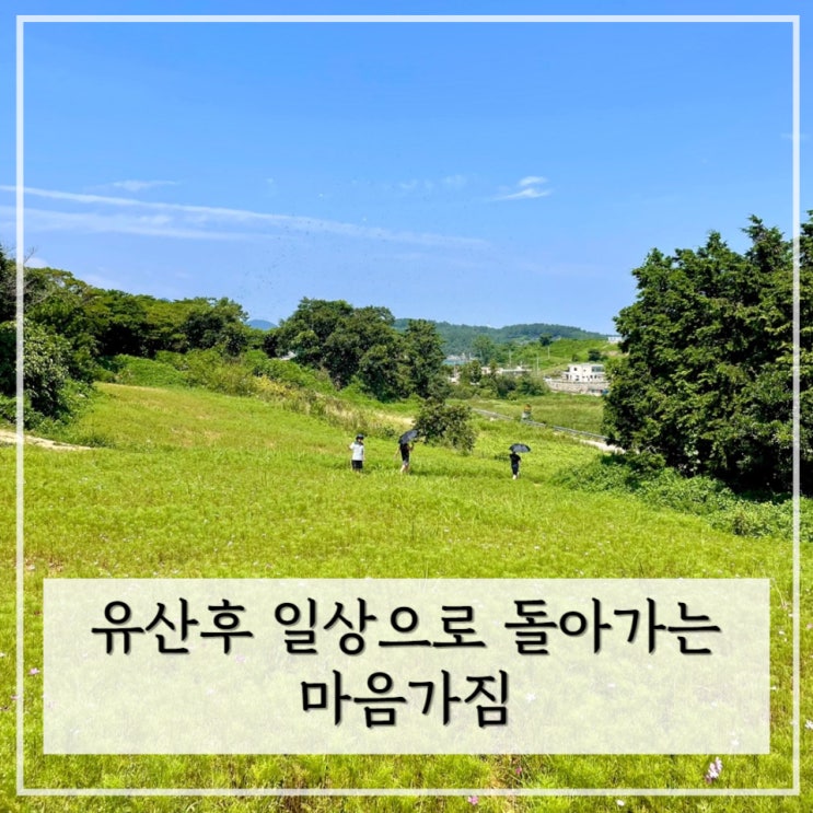 [임신준비] 계류 유산 후 일상으로 돌아가기 / 유산 후 한약 , 운동 , 영양제