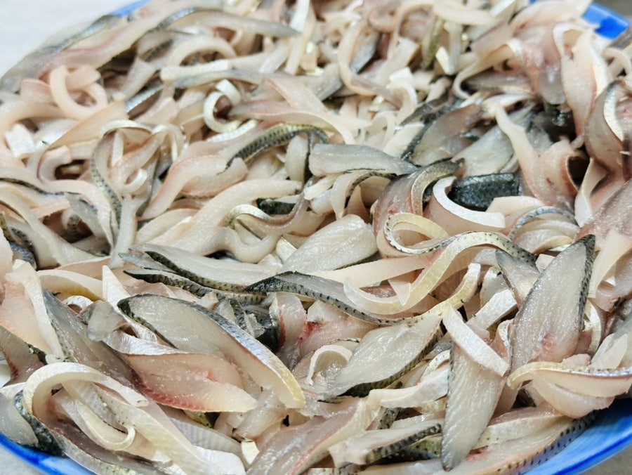 바다회센타 사진 5