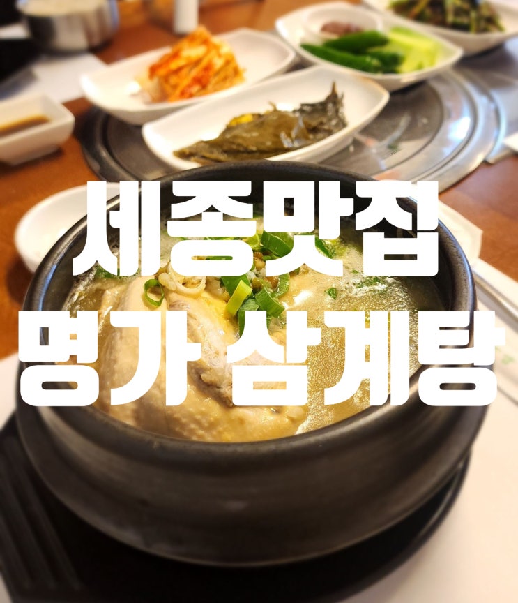  세종시 맛집 명가 삼계탕 녹두 삼계탕 왕갈비탕까지 종갓집손맛