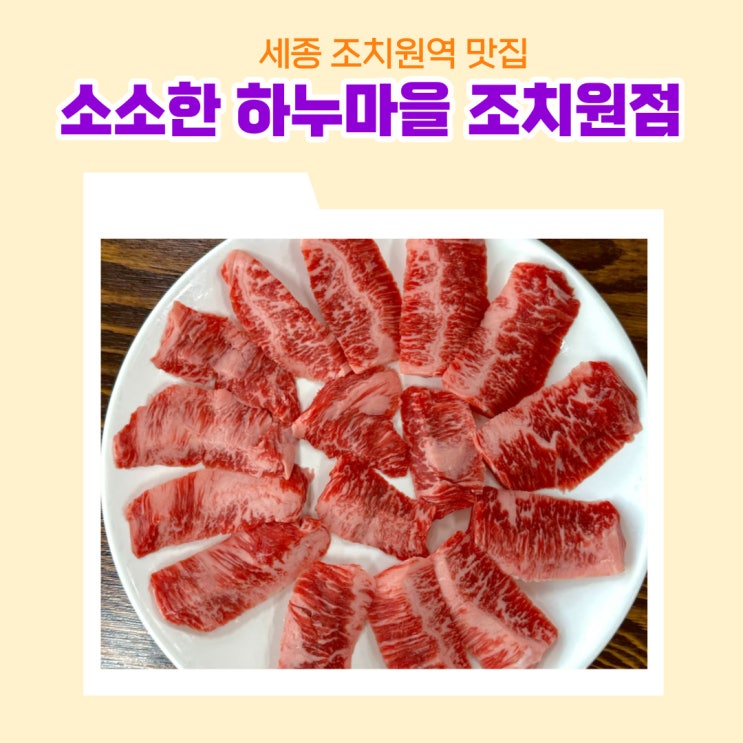  세종 조치원역 맛집 소소한 하누마을 주인장 오마카세 육회 냉면