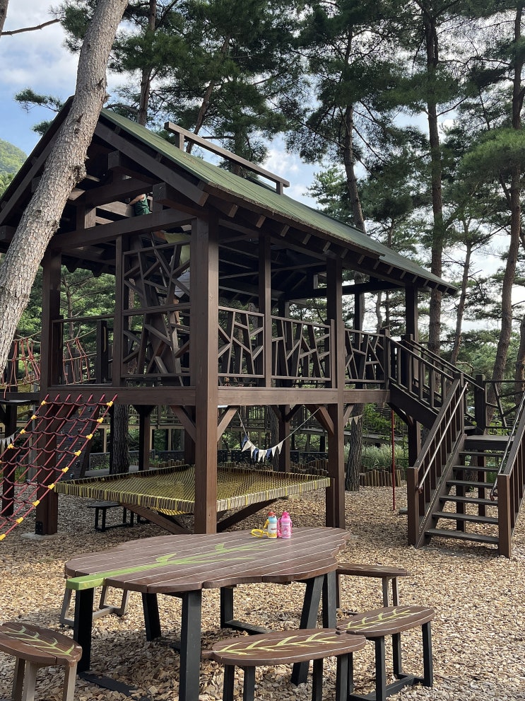  [ 경남 거창] 대구 근교 아이와 가볼 만한 곳 솔바람 숲놀이터/항노화 힐링랜드/우두산 출렁다리/견암폭포