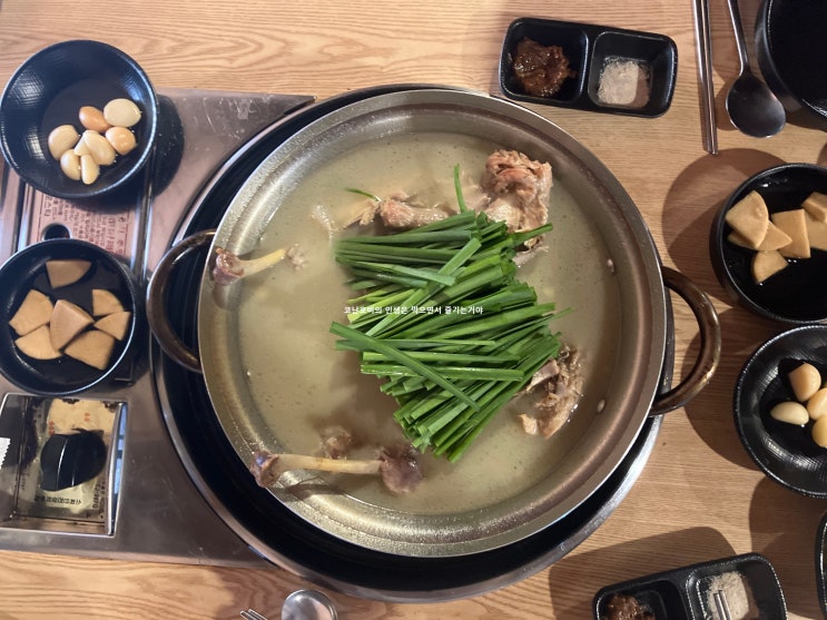 수원 과학대 화성 보통리 저수지 맛집 고미 한방백숙