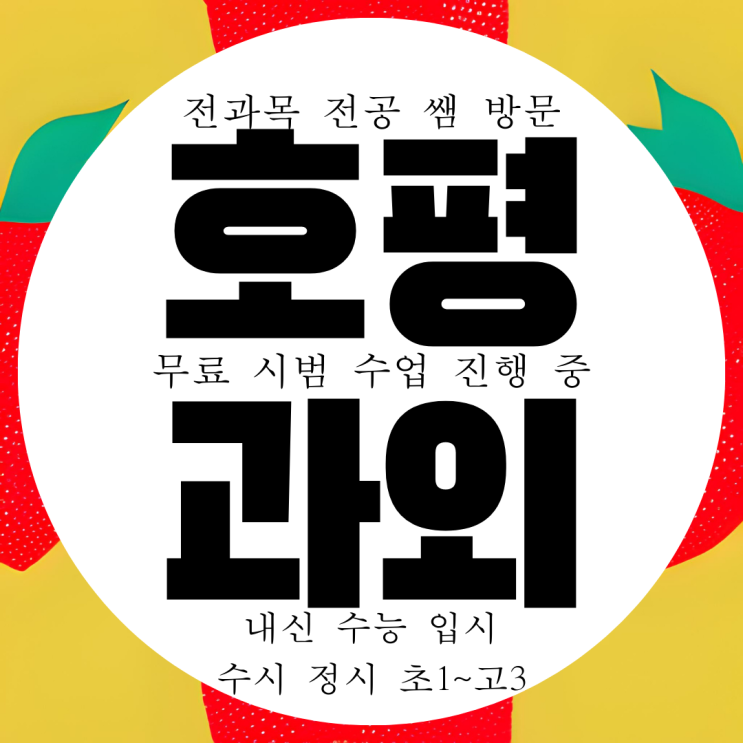  남양주 호평동 영수과외 초등 영어과외 중학생 수학과외 국어 물리 화학