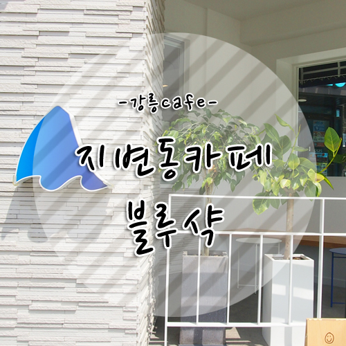  [강릉 신상카페]  맛있는 디저트카페: 강릉블루샥 내돈내산!