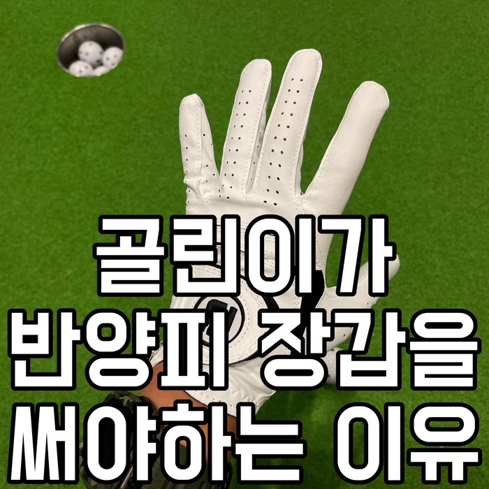  골프 초보 장갑 추천 풋조이 골프장갑 직접 내 돈 내산 후기
