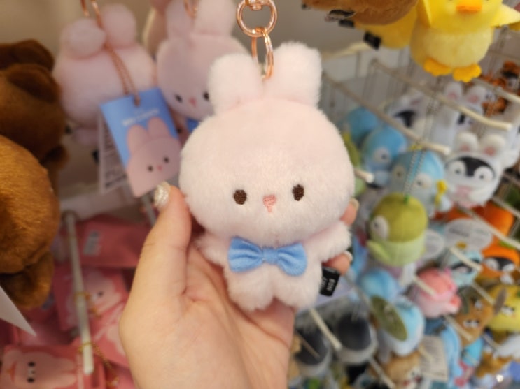  둘다 입양할래