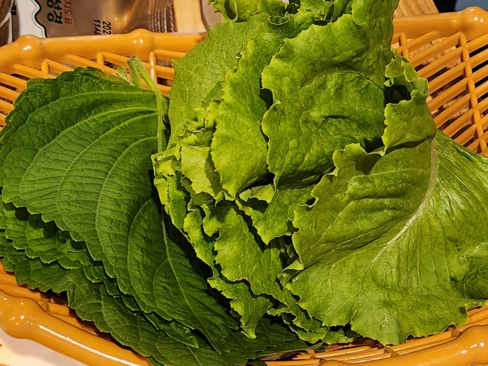 마시레흑돈 사진 6