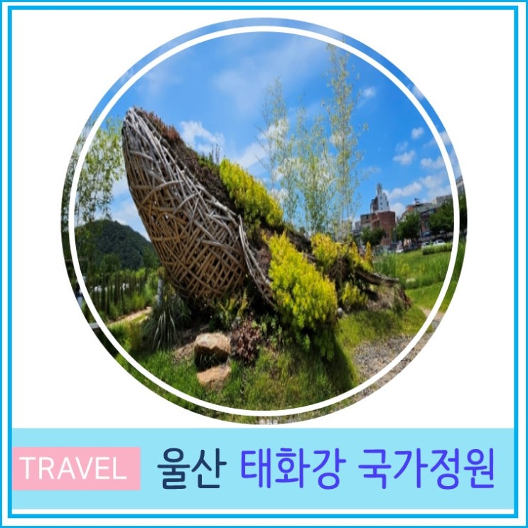  울산 태화강 국가정원주차장 꿀팁 부산 대구 근교 가볼만한 곳 산책하기 좋은 곳