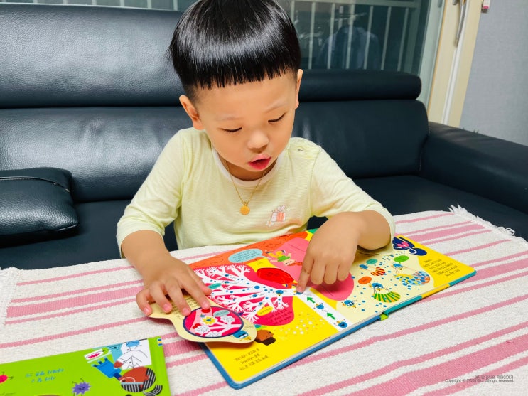 어스본 플랩북 쏙쏙과학세상 5세 6세 유아책 추천 어스본 플랩북 쏙쏙과학세상 5세 6세 유아책 추천