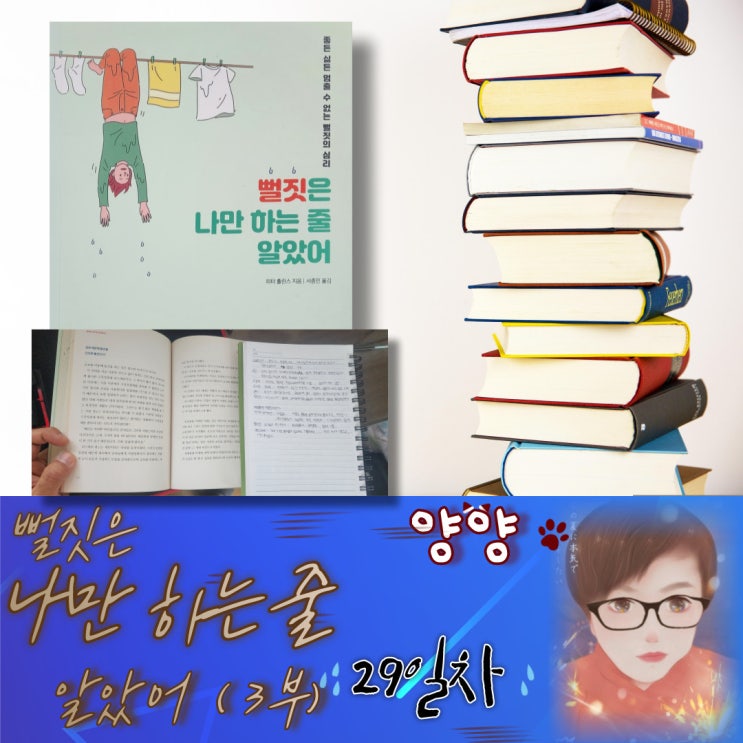  뻘짓은 나만 하는 줄 알았어(3부) 29일 차 - 피터 홀린스