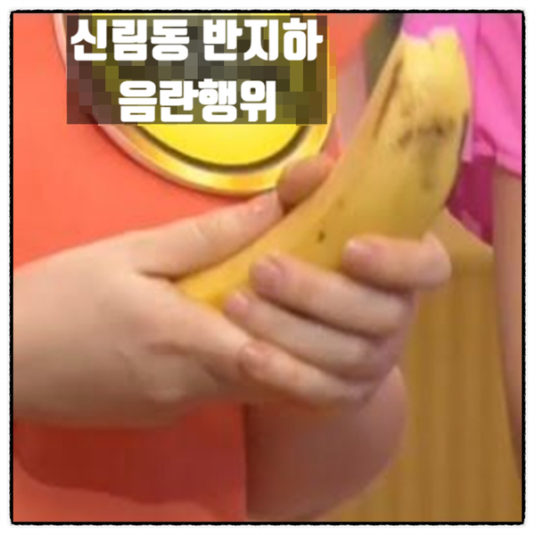  또 신림동 반지하 훔쳐보며 음란행위 30대 남성