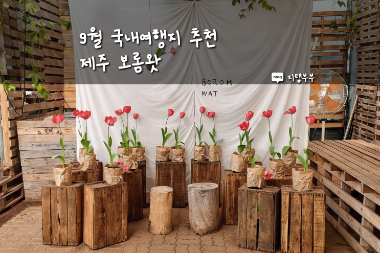  9월 국내여행지 추천 예쁜 꽃들 볼 수 있는 제주 보롬왓 가든