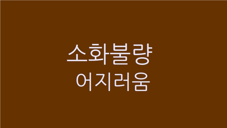  소화불량 어지러움 피로도 잡고 싶다면