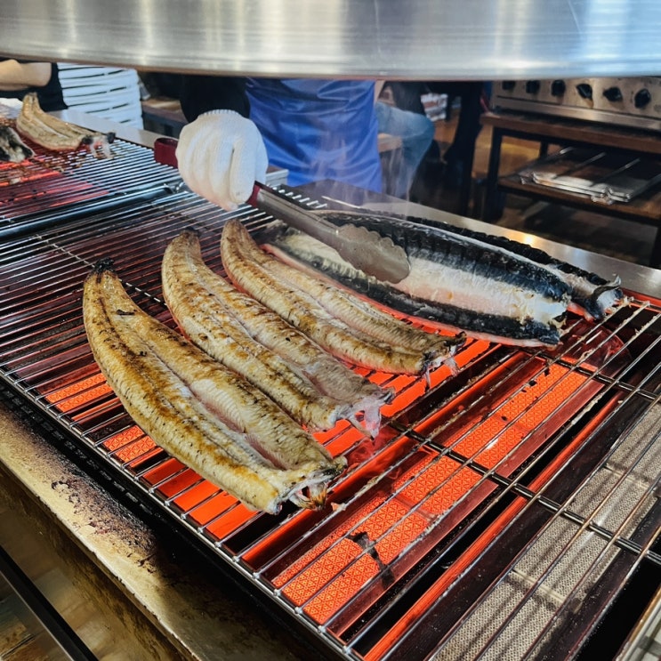  전남 장흥 영천수산 민물장어 맛집 가족외식 추천(포장가능/아빠돈아빠산)