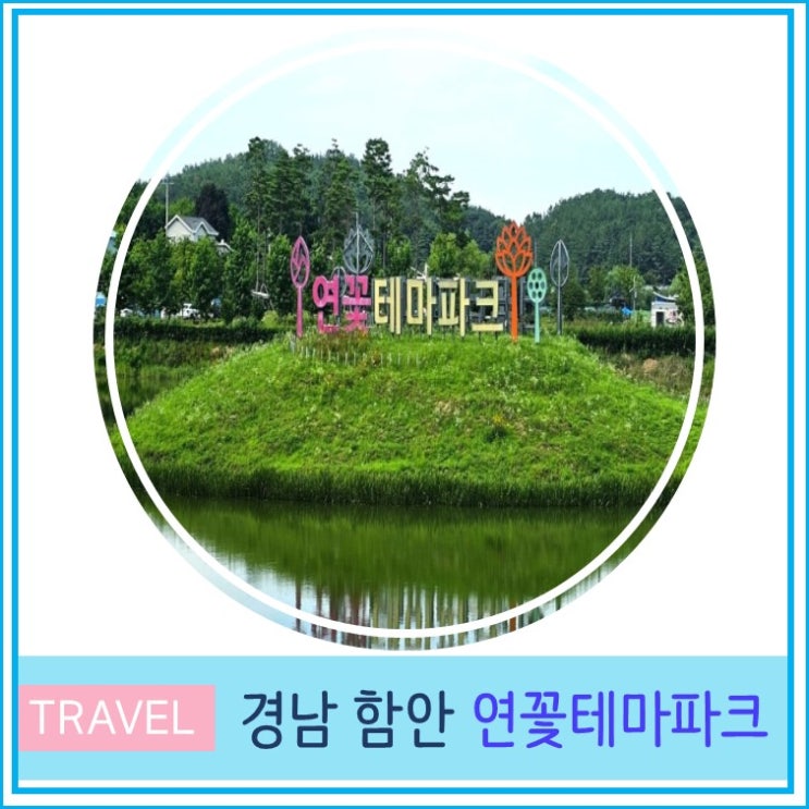  경남 함안 가볼만한 곳 연꽃 테마파크 부산 대구 근교 당일치기 여행